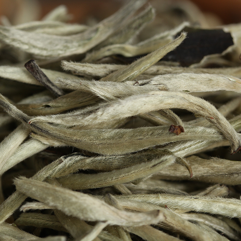 批发云南白茶 2025年白毫银针单芽 月光白单芽（中芽）散茶