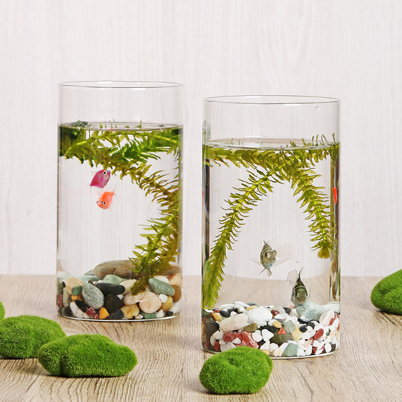 高硼珪酸ガラスの花瓶、オフィスデスク用、魚飼育、グリーンポトス、小型水槽、フラワーアレンジメント、水耕栽培、景観用植木鉢、装飾品、クリエイティブ|undefined