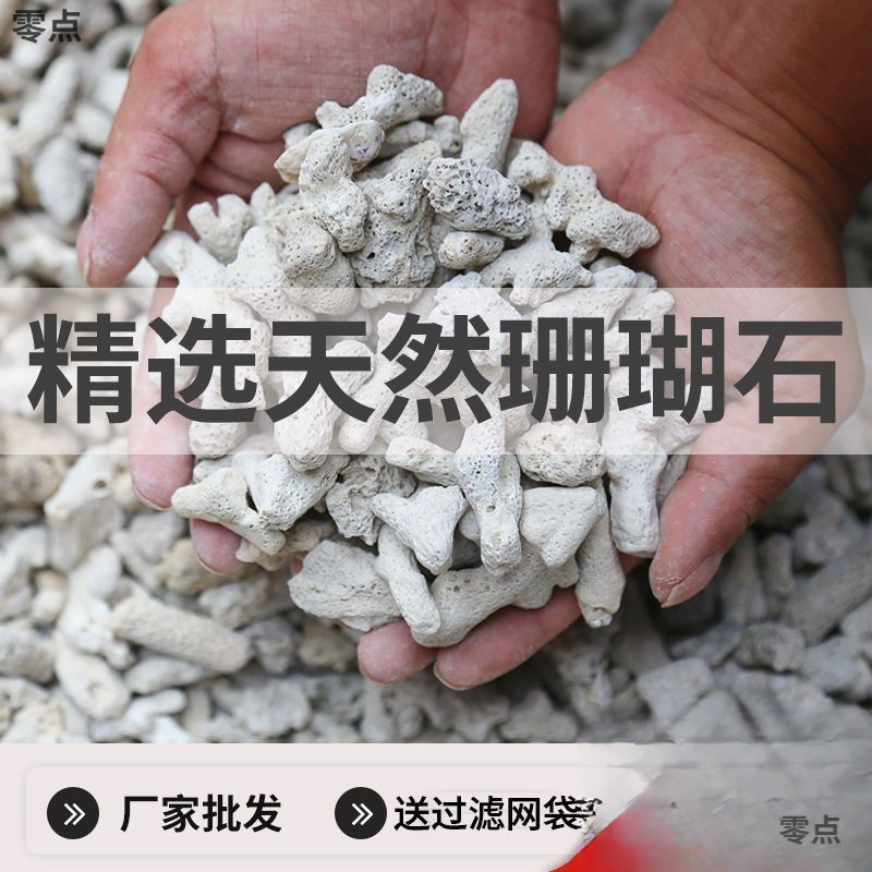 珊瑚石过滤净水滤材海鲜池海鲜缸用珊瑚砂鱼池珊瑚骨全套过滤材料