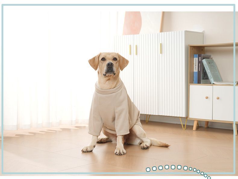 c259ff1f-843e-47a6-8419-ccda9d5c44e1.jpe