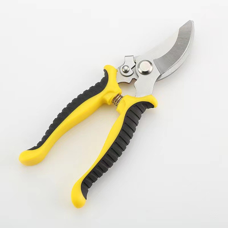 微信图片_20231124214745