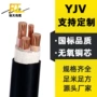 低压电力齐全铜芯电缆