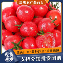 正宗千禧圣女果5斤整箱新鲜水果3批发包邮10生吃蔬菜红色小西红柿