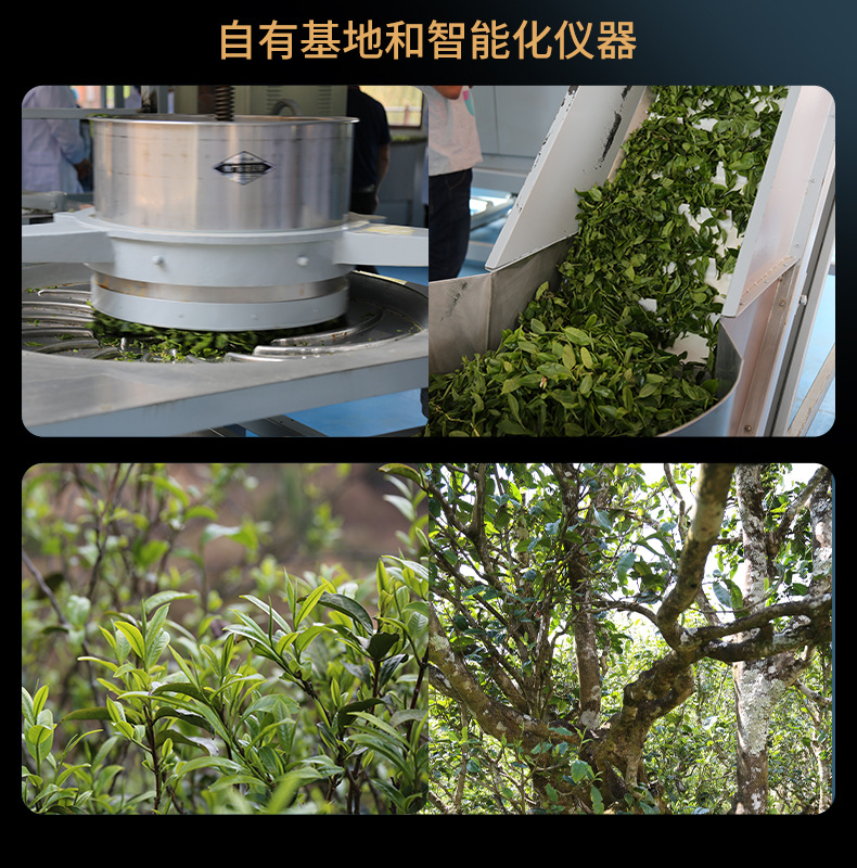 未标题-1_12
