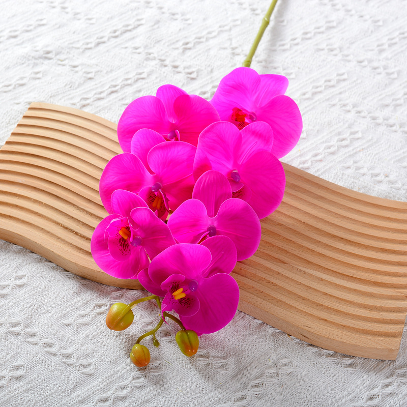 7 헤드 다크 퍼플