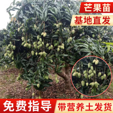 ���̨�r���߄P�ذ�â�t�F������â���Ե����u��â����޽������l