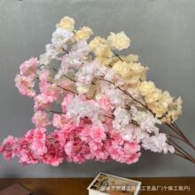 �F؛�ѻ����l��c�Y���b��ѻ�֦���滨�ٻ����T��֦�����҃�