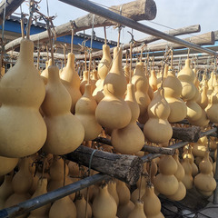 Low-priced special large gourd waist decoration item, with dragon head, suitable for practicing wood burning painting, affordable.