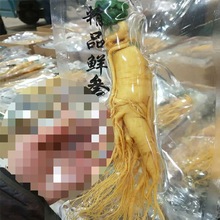 【大人参长白山人参保鲜】一等品新鲜野生人参泡酒煲汤批发