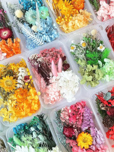 �������ɻ�diy���ϰ��ֹ����հ׈F��ֲ���N������ƿ��������