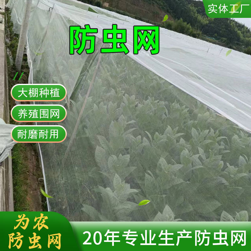 厂家直售防虫网聚乙烯全新料结实耐用60目80目大棚防蚊防虫网