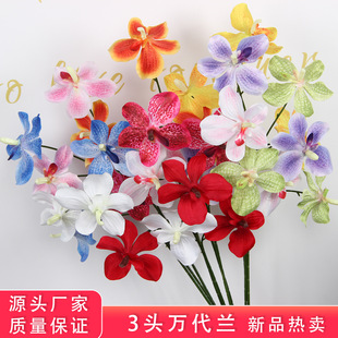 ��c���滨3�^�f���m��Y�bٻ���c��̨����·�����m���ò廨