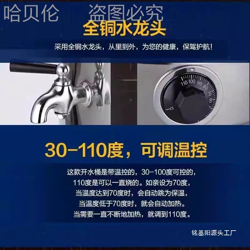 熬桶熬药头疗煎艾叶汤锅烧水水桶电热保温桶艾草洗澡电药热汤其他