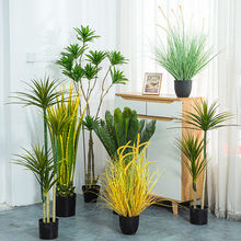 ����ٺ����҃����Կ͏d����Gֲ����ֲ��͏d��Ѫ��[���Gֲ�٘�