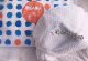 BEABA Biba baby Summer baby diapers breathable soft men's and women's baby pants a generation of hair