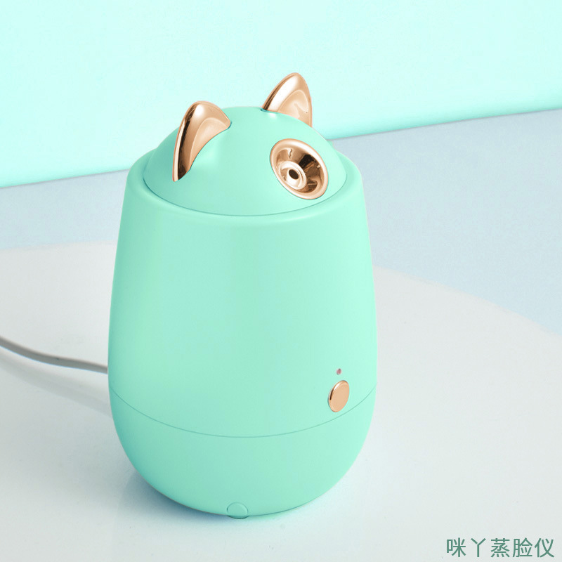 新しい顔蒸し器の水補充器は家庭用美容器のナノアロママスクの水を補充して保湿スプレーの卸売りをします。|undefined