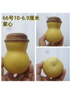 ���J�X�X�����й����л\��������J�Q�x�й��x�߬F؛