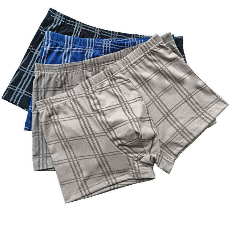 그리드.5개 스트립