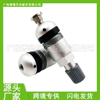 气门嘴铝合金气嘴适用于宝马奥迪大众胎压传感器气门嘴 跨境批发