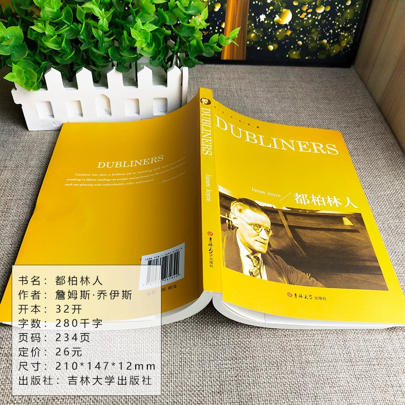 Дублинцы, читатель Дублинцы книга искренняя чистая английская без удаления классика Джеймса Джойса World