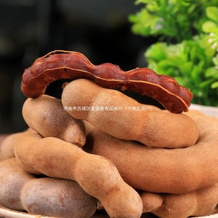 ���������خa��������r����ᶹ���ЋD���ӽ����ʳ�_���ӏ���