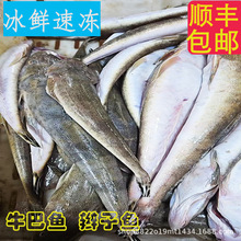 ���������r�p���~ţβ�~�����~���r��հ��b���~���rˮ�a�����~