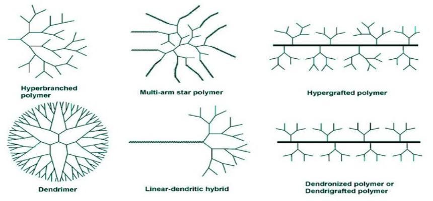 树枝状分子结构示意图(1)