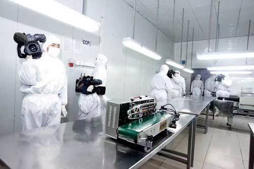 临安山核桃仁15