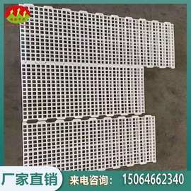 小鸡育雏网床板 塑料漏洞板规格 小圆孔塑料粪板图片