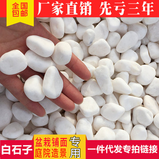 ��һ�����l����ʯ��ͥԺ���^�·䁵ش��Z��ʯ�쾰�b�ɫСʯ�^