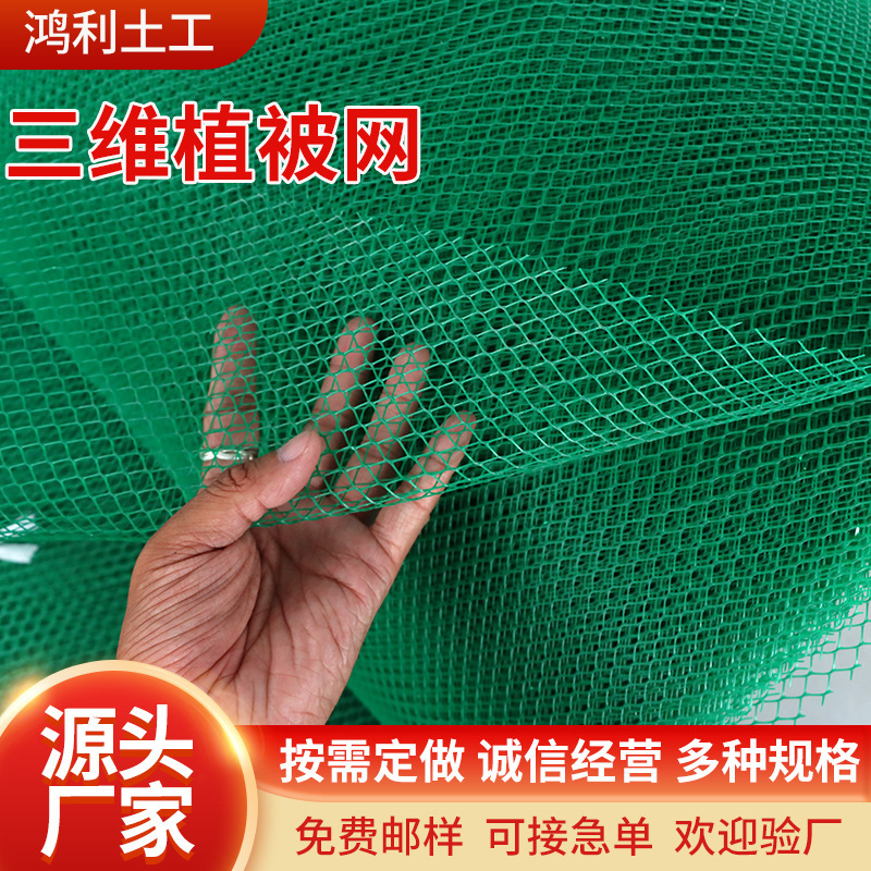护坡三维植被网EM3植草加筋hdpe三维土工网垫护坡绿色三维植被网|undefined