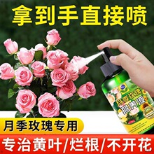 月季营养液月季花肥料促花养花月季专用肥开花肥玫瑰花蔷薇花肥料