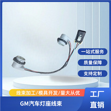 19330734适用04-12GM Chevrolet Colorado Park汽车灯座线束