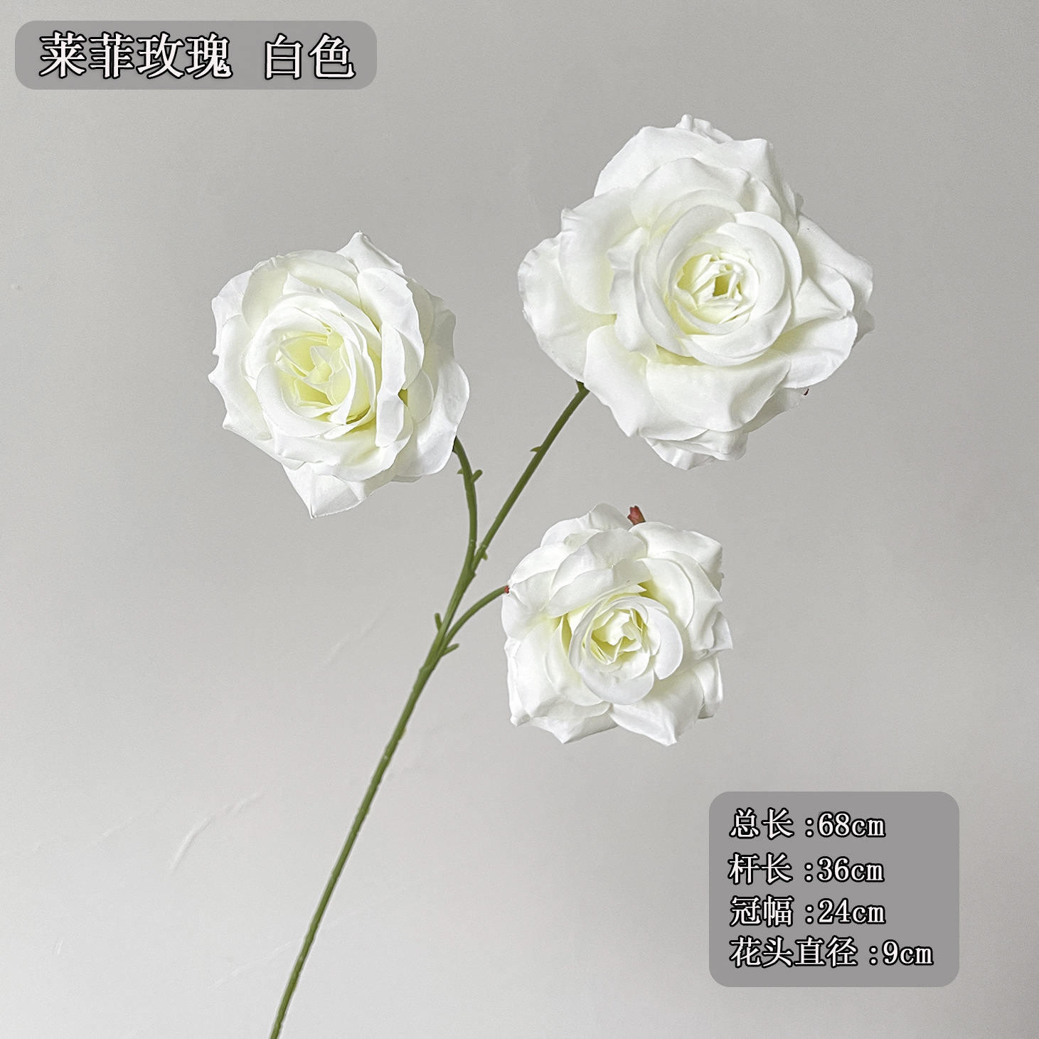 3 왼손잡이 로즈 밀크 화이트