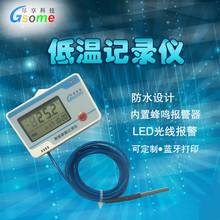 温度记录仪超低温DL-W14超低温冰箱冷库实验室