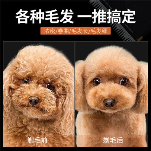 Dog shaver, pet electric clipper, Teddy cat shaver, professional electric clipper for hair trimming and foot hair trimming