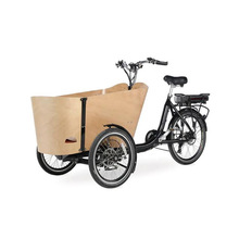 W݆܇ cargo bike ڏ͹݆܇T_̤܇electric