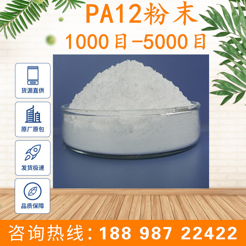 现货销售 PA12粉 超细尼龙粉末 1000目至500目 PA12微粉