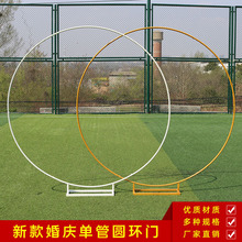 25�¿��c�����Fˇ�A�h���T�����ΗU���T�����Y�������Q �羳