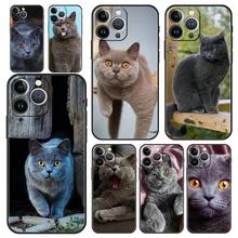 ����ƻ��iPhone�ֻ���Ӣ����ëè �������Ǳ�����iPhone 17 15 14