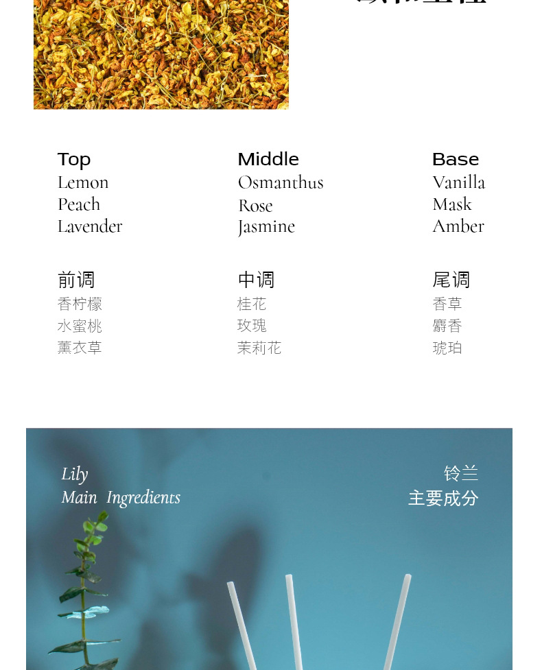 气味档案藤条香薰精油香格里拉液体香氛白桃乌龙木质香香熏伴手礼详情3
