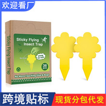 ���S����ճ�x�� �p���T�x���S���{�����ճ�x�� �@�ֲ��x�N