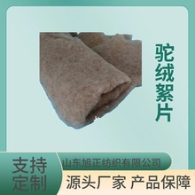 ֱ�N�q���w�켏����Ƭ��ѝ�|��������đ���������Ƭ��荽q