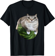 K 95482 Watermelon Cat Meme T-Shirt ����؈ӡ��T�� �羳�W����