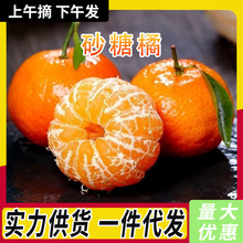 ���ڏV��ɰ�����������rˮ����Ƥ�o�˽���ɳ�ǽ����l���]��S���x