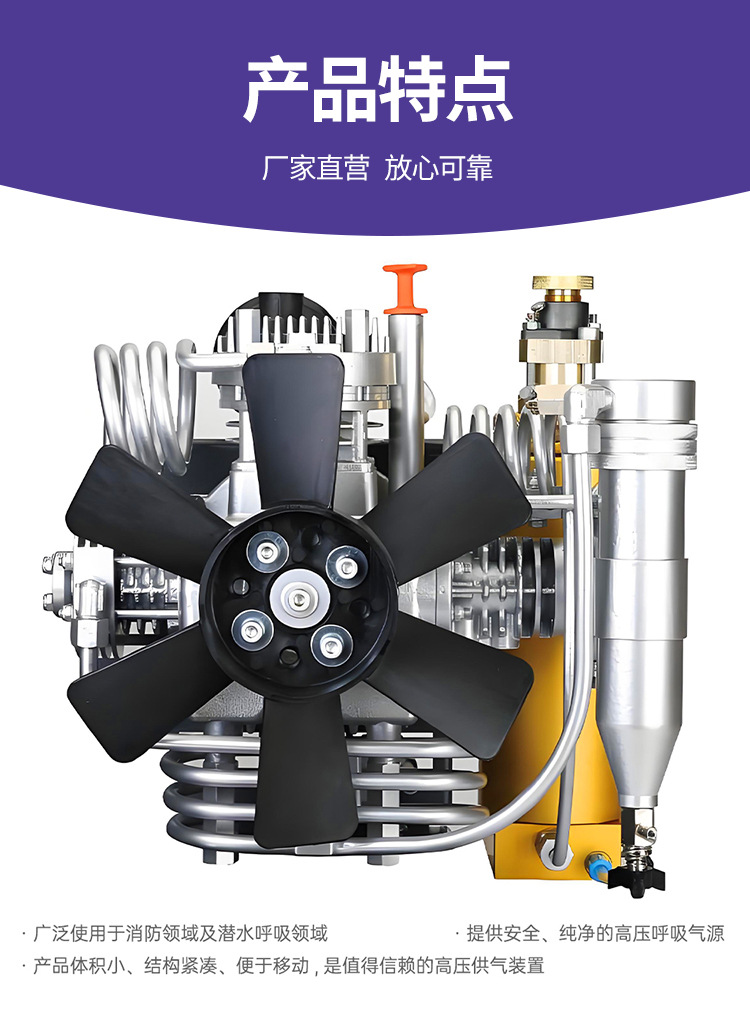 High-Pressure Air Compressor Breathing Filling Pump 35Mpa Pressure Clean Oil-Free 100L 150L Multiple Specifications Available