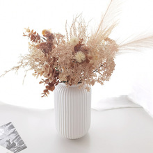 �R������P�͹Ż����ȼ����~�JȔ�� �ҾӔ[���[�Ų廨 ��2026