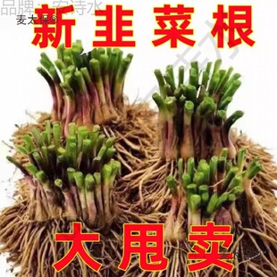 �²˸����~�˸���Ʒ�Nˮ�B�ָ��ļ����߲�800�w���~�҃�����̫��