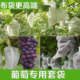 Bring Your Own Drawstring Grape Fruit Bagging Anti-Bird, Rain-Proof and Insect-Proof Mesh Bag Melon and Fruit Fig Loquat Breathable Special Bag