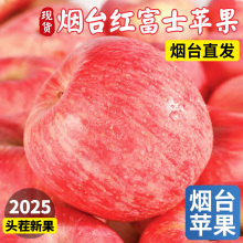 正宗山东烟台红富士苹果新鲜水果整箱当季水果栖霞脆甜丑果子包